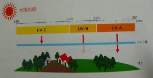 紫外線の種類とその対策について